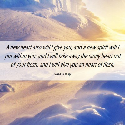 Picture 06 - Ezekiel 36:26 KJV - A new heart also will I give you, and a new - Bible Verse Picture