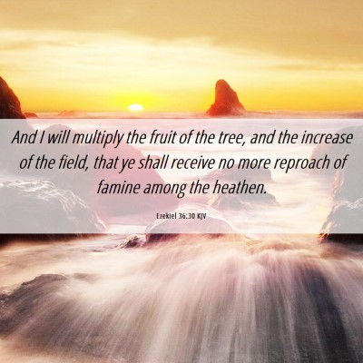 Picture 06 - Ezekiel 36:30 KJV - And I will multiply the fruit of the tree, and - Bible Verse Picture