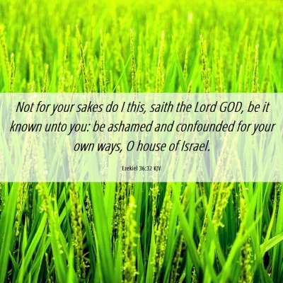 Picture 06 - Ezekiel 36:32 KJV - Not for your sakes do I this, saith the Lord GOD, - Bible Verse Picture