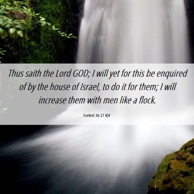 Picture 06 - Ezekiel 36:37 KJV - Thus saith the Lord GOD; I will yet for this be - Bible Verse Picture