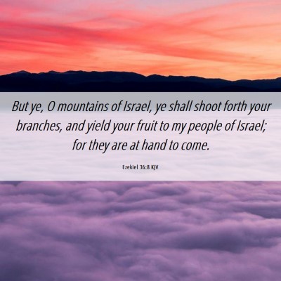 Picture 06 - Ezekiel 36:8 KJV - But ye, O mountains of Israel, ye shall shoot - Bible Verse Picture