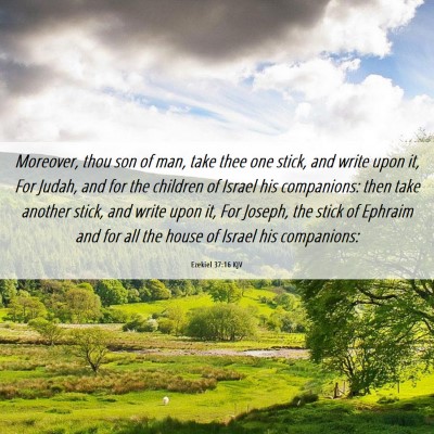 Picture 06 - Ezekiel 37:16 KJV - Moreover, thou son of man, take thee one stick, - Bible Verse Picture