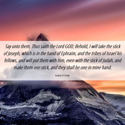Picture 06 - Ezekiel 37:19 KJV - Say unto them, Thus saith the Lord GOD; Behold, I - Bible Verse Picture