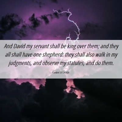Picture 06 - Ezekiel 37:24 KJV - And David my servant shall be king over them; and - Bible Verse Picture