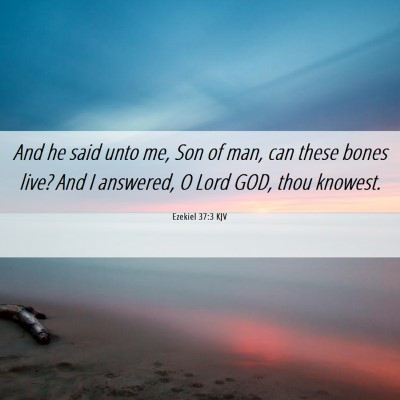 Picture 06 - Ezekiel 37:3 KJV - And he said unto me, Son of man, can these bones - Bible Verse Picture
