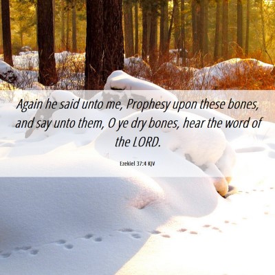 Picture 06 - Ezekiel 37:4 KJV - Again he said unto me, Prophesy upon these bones, - Bible Verse Picture