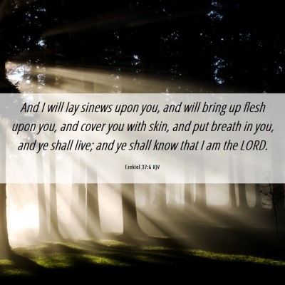 Picture 06 - Ezekiel 37:6 KJV - And I will lay sinews upon you, and will bring up - Bible Verse Picture