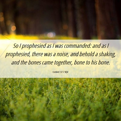 Picture 06 - Ezekiel 37:7 KJV - So I prophesied as I was commanded: and as I - Bible Verse Picture