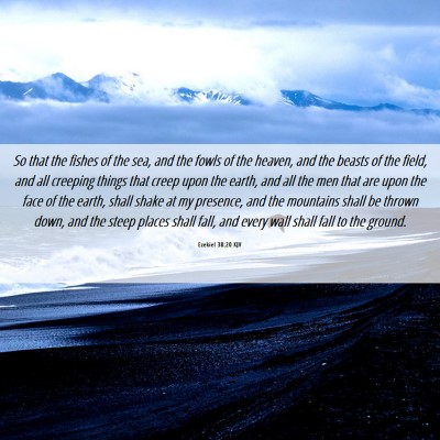 Picture 06 - Ezekiel 38:20 KJV - So that the fishes of the sea, and the fowls of - Bible Verse Picture