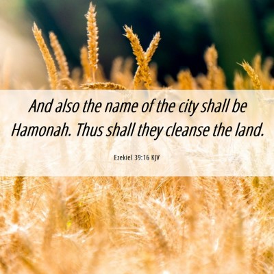 Picture 06 - Ezekiel 39:16 KJV - And also the name of the city shall be Hamonah. - Bible Verse Picture