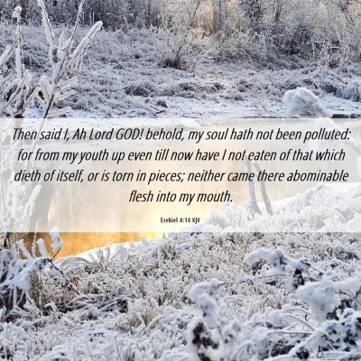 Picture 06 - Ezekiel 4:14 KJV - Then said I, Ah Lord GOD! behold, my soul hath - Bible Verse Picture