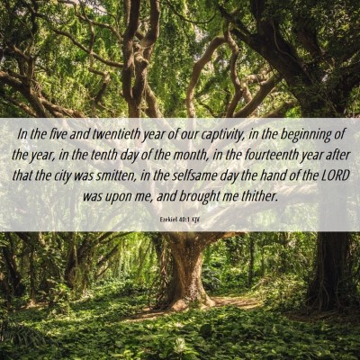 Picture 06 - Ezekiel 40:1 KJV - In the five and twentieth year of our captivity, - Bible Verse Picture