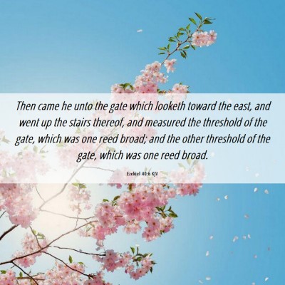 Picture 06 - Ezekiel 40:6 KJV - Then came he unto the gate which looketh toward - Bible Verse Picture