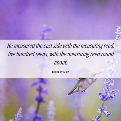 Picture 06 - Ezekiel 42:16 KJV - He measured the east side with the measuring - Bible Verse Picture
