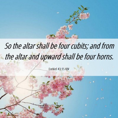 Picture 06 - Ezekiel 43:15 KJV - So the altar shall be four cubits; and from the - Bible Verse Picture