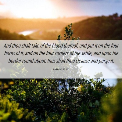 Picture 06 - Ezekiel 43:20 KJV - And thou shalt take of the blood thereof, and put - Bible Verse Picture