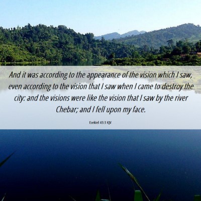 Picture 06 - Ezekiel 43:3 KJV - And it was according to the appearance of the - Bible Verse Picture