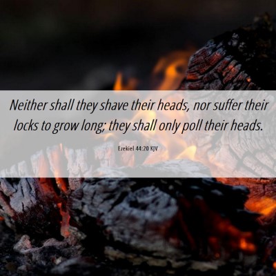 Picture 06 - Ezekiel 44:20 KJV - Neither shall they shave their heads, nor suffer - Bible Verse Picture