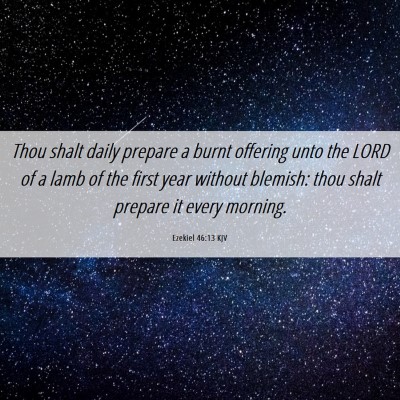 Picture 06 - Ezekiel 46:13 KJV - Thou shalt daily prepare a burnt offering unto - Bible Verse Picture