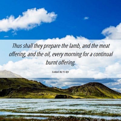Picture 06 - Ezekiel 46:15 KJV - Thus shall they prepare the lamb, and the meat - Bible Verse Picture