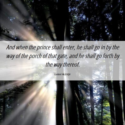 Picture 06 - Ezekiel 46:8 KJV - And when the prince shall enter, he shall go in - Bible Verse Picture