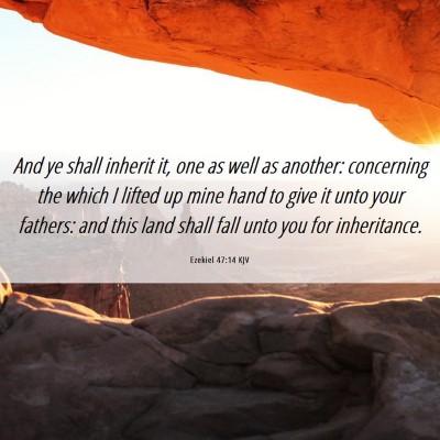 Picture 06 - Ezekiel 47:14 KJV - And ye shall inherit it, one as well as another: - Bible Verse Picture