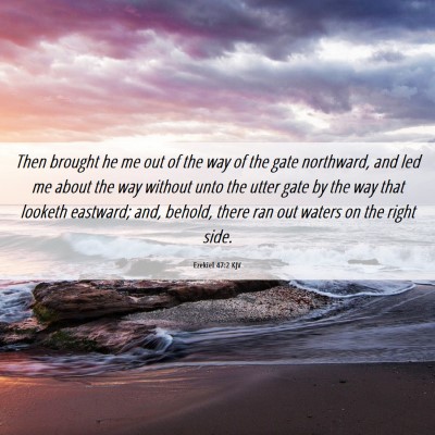 Picture 06 - Ezekiel 47:2 KJV - Then brought he me out of the way of the gate - Bible Verse Picture