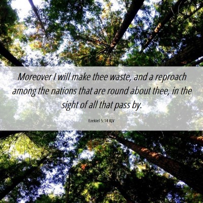 Picture 06 - Ezekiel 5:14 KJV - Moreover I will make thee waste, and a reproach - Bible Verse Picture