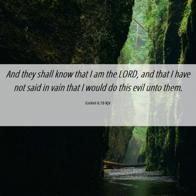 Picture 06 - Ezekiel 6:10 KJV - And they shall know that I am the LORD, and that - Bible Verse Picture