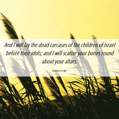 Picture 06 - Ezekiel 6:5 KJV - And I will lay the dead carcases of the children - Bible Verse Picture