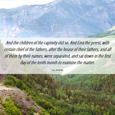 Picture 06 - Ezra 10:16 KJV - And the children of the captivity did so. And - Bible Verse Picture