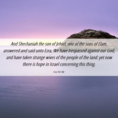 Picture 06 - Ezra 10:2 KJV - And Shechaniah the son of Jehiel, one of the sons - Bible Verse Picture