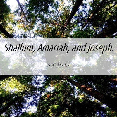 Picture 06 - Ezra 10:42 KJV - Shallum, Amariah, and - Bible Verse Picture