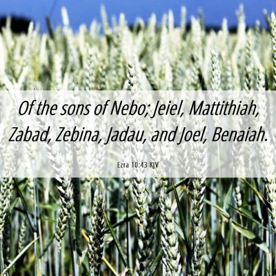 Picture 06 - Ezra 10:43 KJV - Of the sons of Nebo; Jeiel, Mattithiah, Zabad, - Bible Verse Picture