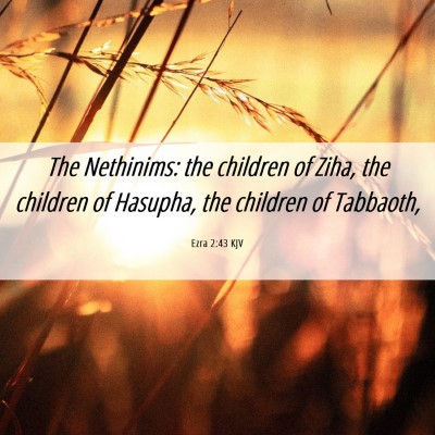 Picture 06 - Ezra 2:43 KJV - The Nethinims: the children of Ziha, the children - Bible Verse Picture