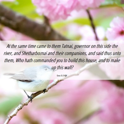 Picture 06 - Ezra 5:3 KJV - At the same time came to them Tatnai, governor on - Bible Verse Picture