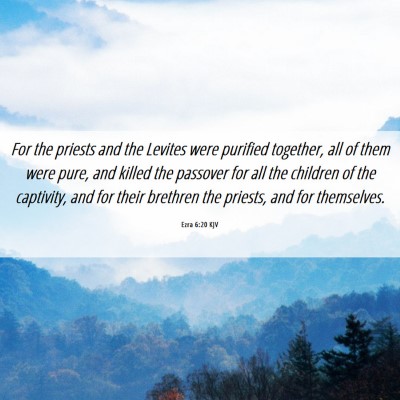 Picture 06 - Ezra 6:20 KJV - For the priests and the Levites were purified - Bible Verse Picture
