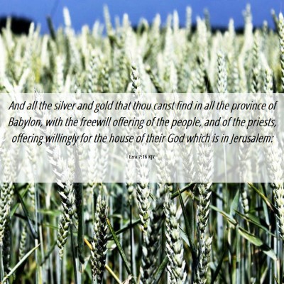 Picture 06 - Ezra 7:16 KJV - And all the silver and gold that thou canst find - Bible Verse Picture