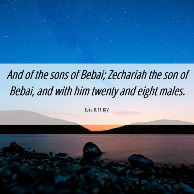 Picture 06 - Ezra 8:11 KJV - And of the sons of Bebai; Zechariah the son of - Bible Verse Picture