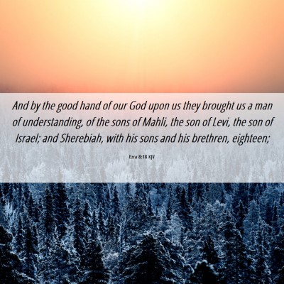 Picture 06 - Ezra 8:18 KJV - And by the good hand of our God upon us they - Bible Verse Picture