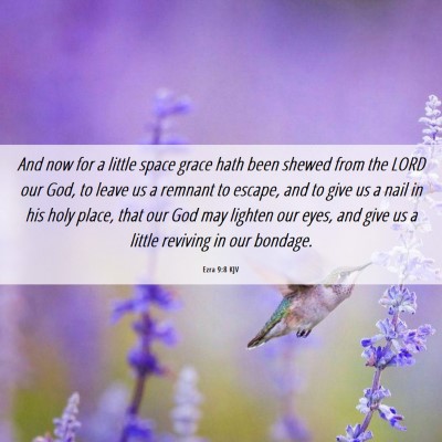 Picture 06 - Ezra 9:8 KJV - And now for a little space grace hath been shewed - Bible Verse Picture