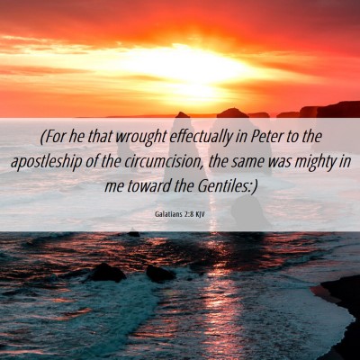 Picture 06 - Galatians 2:8 KJV - (For he that wrought effectually in Peter to the - Bible Verse Picture
