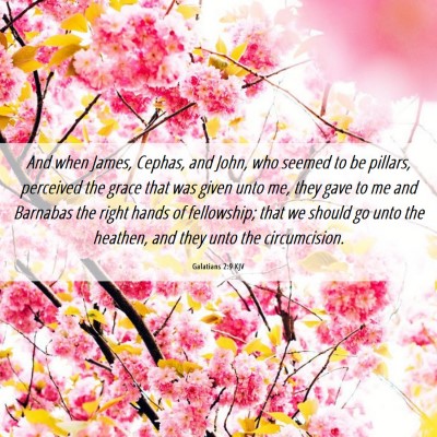 Picture 06 - Galatians 2:9 KJV - And when James, Cephas, and John, who seemed to - Bible Verse Picture