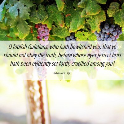 Picture 06 - Galatians 3:1 KJV - O foolish Galatians, who hath bewitched you, that - Bible Verse Picture