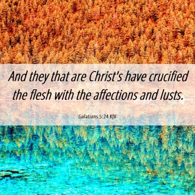 Picture 06 - Galatians 5:24 KJV - And they that are Christ's have crucified the - Bible Verse Picture