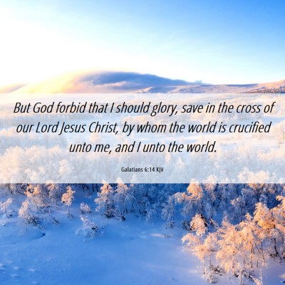 Picture 06 - Galatians 6:14 KJV - But God forbid that I should glory, save in the - Bible Verse Picture
