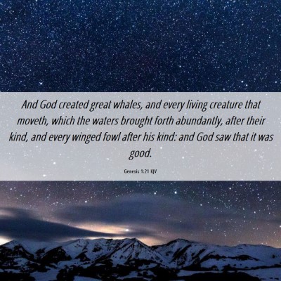 Picture 06 - Genesis 1:21 KJV - And God created great whales, and every living - Bible Verse Picture