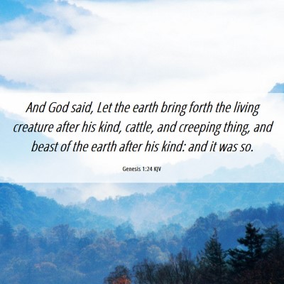 Picture 06 - Genesis 1:24 KJV - And God said, Let the earth bring forth the - Bible Verse Picture