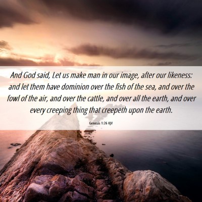Picture 06 - Genesis 1:26 KJV - And God said, Let us make man in our image, after - Bible Verse Picture