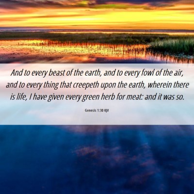 Picture 06 - Genesis 1:30 KJV - And to every beast of the earth, and to every - Bible Verse Picture